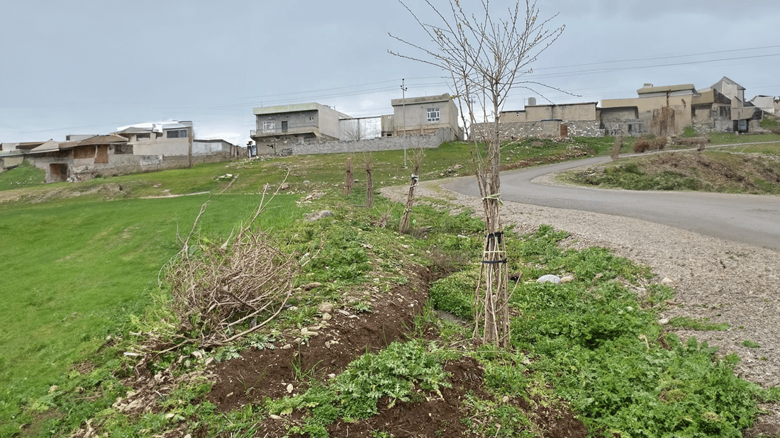  دوو گەنج بە خۆبەخشى رێگاى گوندەکەیان سەوز دەکەن