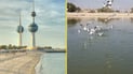 الكويت والعراق.. “حرب ناعمة” على طيور أوربا ومانغروف الفاو يتحدى بحيرات العبدلي