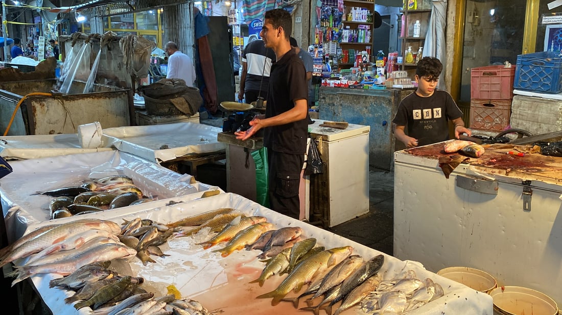 صور: الناصرية بدأت تعتمد على جارتها العمارة لتأمين “البنّي”