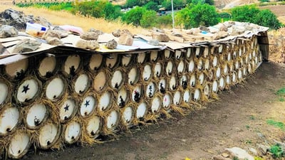 رێکخراوی هەنگەوانانی کوردستان زه‌نگى مه‌ترسی بۆ به‌رهه‌مى هه‌نگوین لێده‌دات