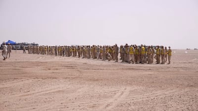 فيديو: صحراء أرطاوي جاهزة لفرنسا.. 2 مليون لوح شمسي وألف ميغا كهرباء