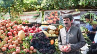 كردستان: المزارع 
