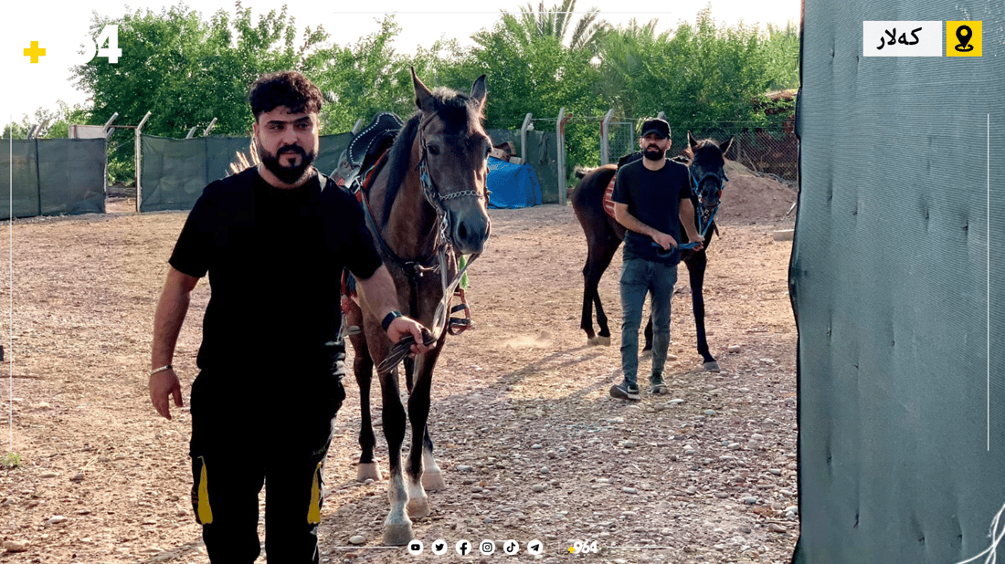 ئێستا دەتوانیت لە کەلار خۆت فێری ئەسپسواری بکەیت