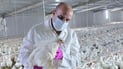 Iraq bans poultry imports from Iran following bird flu cases