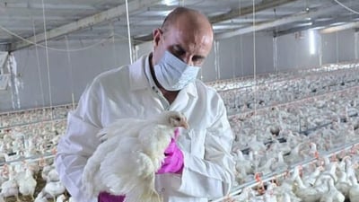 Iraq bans poultry imports from Iran following bird flu cases