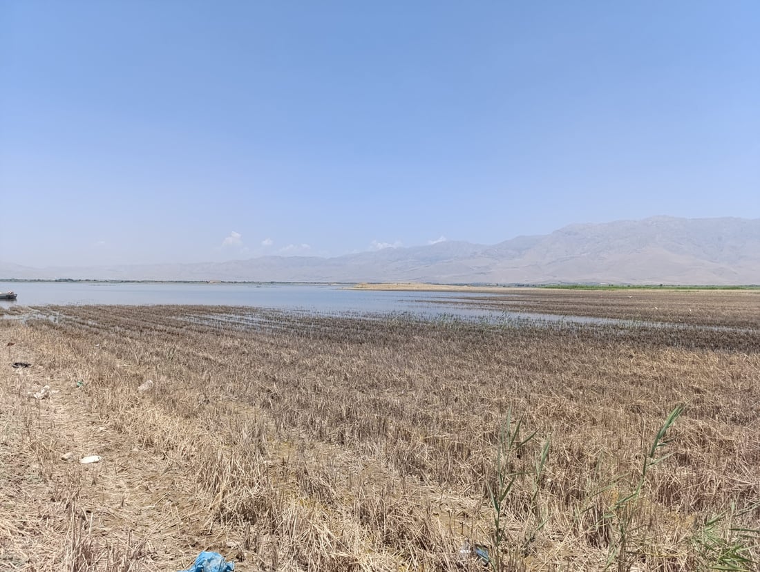 ئه‌مساڵ به‌ته‌ماى شووتى و خه‌یارى به‌حره‌كه‌ مه‌بن