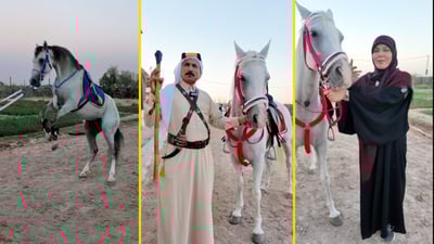 Najaf opens first horse-riding track, drawing young riders