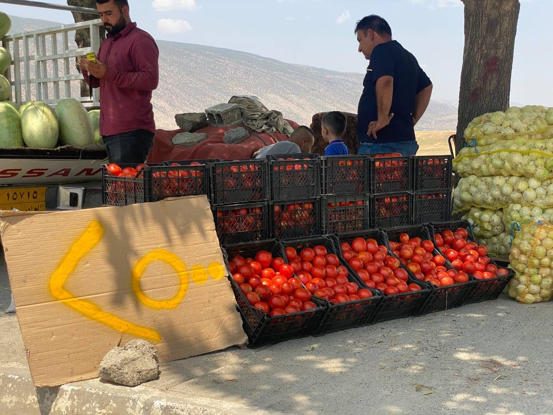 Farmers in Soran say local crop prices falling below cost, cite oversupply and low demand