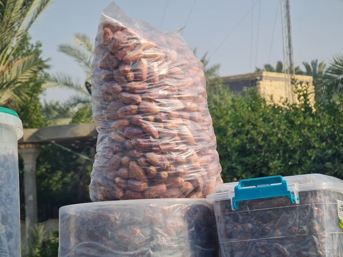 صور: حلانات التمر على طول الطريق بين السماوة والرميثة.. الشكّر أولاً
