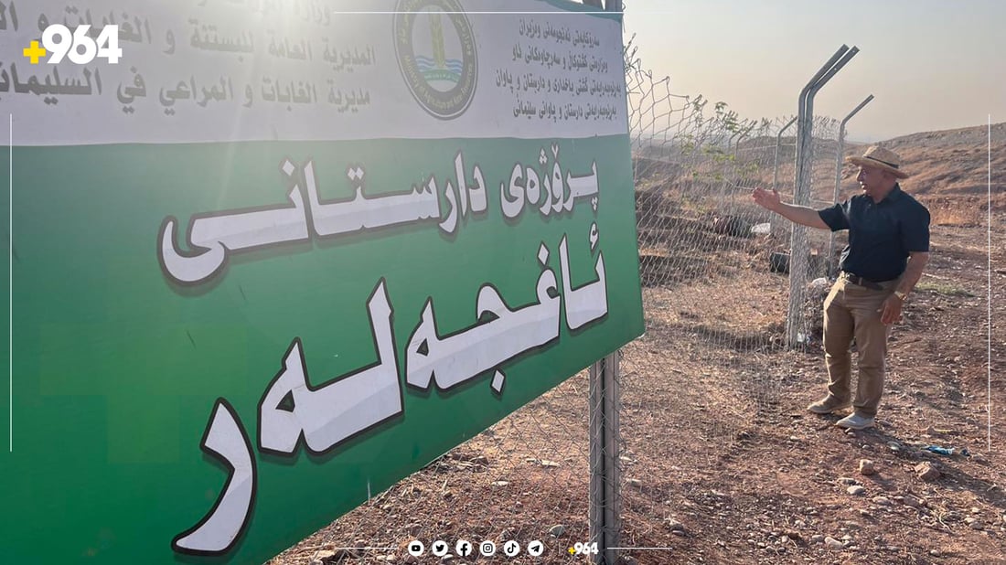 Sulaymaniyah province leads Kurdistan in artificial forests expansion