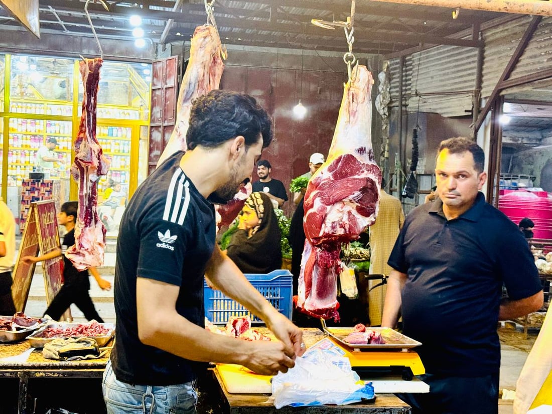 مواكب عاشوراء تبحث عن مواشي كردستان.. أغلى لكن أشهى من الإيرانية