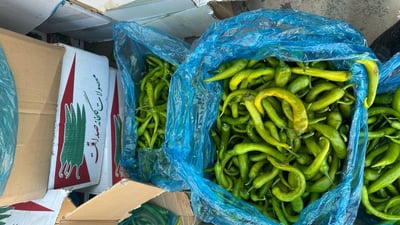 لە مەرزی تەوێڵە-شوشمێ دەستگیرا بەسەر 300 کیلۆ بیبەردا