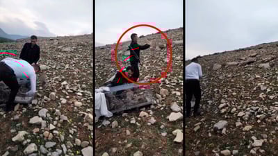 لە راپەڕین 42 کەو ئازادکران و بە سروشت شاد کرانەوە