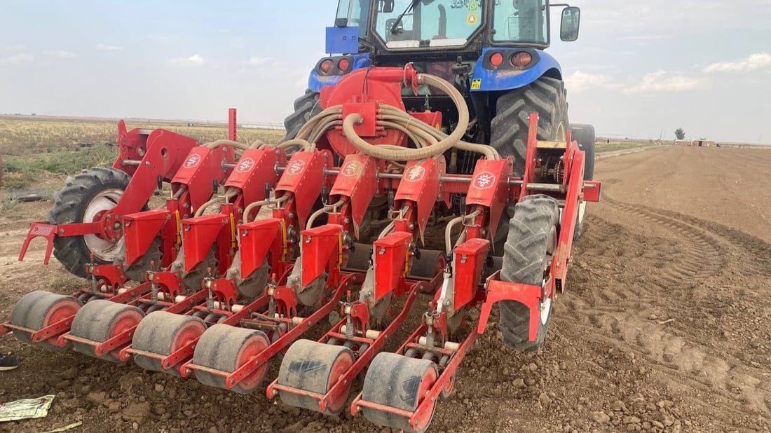 شاهد: ربيعة “تطبع” البصل الأمريكي والهولندي بعد جولة بـ “الرفاس”