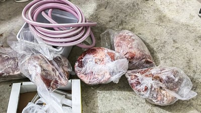 له‌ماڵه‌وه‌ گۆشتى به‌ستووى كردووه‌ته‌ قیمه‌ و له‌ بازاڕ ساغى كردووه‌ته‌وه‌