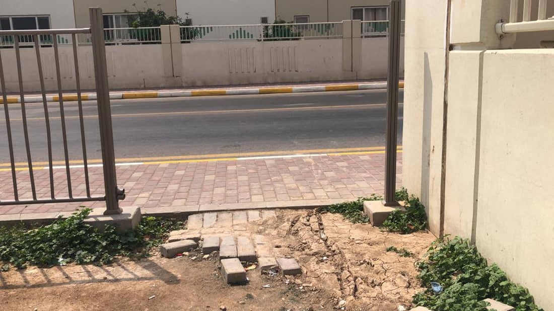 صور: سكان بسماية يعرضون 50 دولاراً مقابل عودة “هانوا”.. لم نجن سوى “بند القمامة”