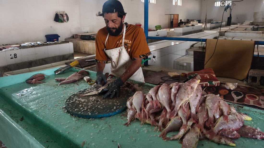 الحمرة والروبيان يفتتحان مزاد النقعة بكميات وفيرة على حساب الزبيدي والصبور