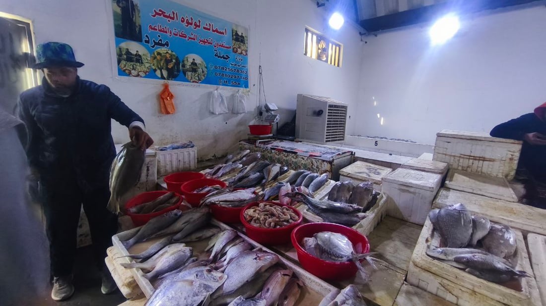 صور من مرسى الفاو: البحارة عادوا بأطنان من البياح والنويبي والروبيان