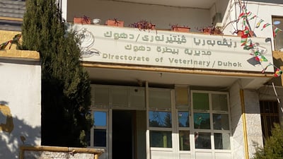 ئاژەڵدۆستان و ڤێتەرنەری دهۆک دژی بڕیاری لەناوبردنی سەگەکانن