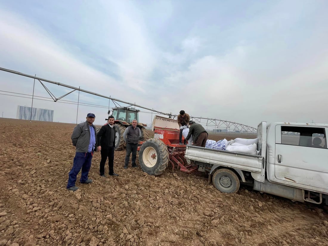 له‌سنوورى هه‌ولێر هه‌شت جۆر گه‌نم و جۆ ده‌چێندرێت