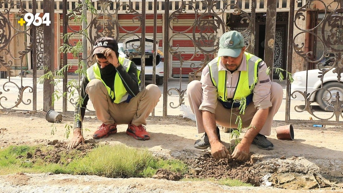 الناصرية تزرع 30 ألف شتلة ألبيزيا وجهنمي.. من حديقة الدب إلى شارع الإمام علي