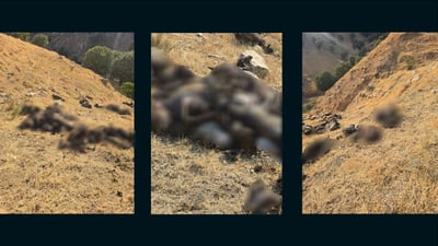 به‌هۆى ئاگركه‌وتنه‌وه‌ 80 سەرگیسک و نزیکەی 40 مریشک سووتان