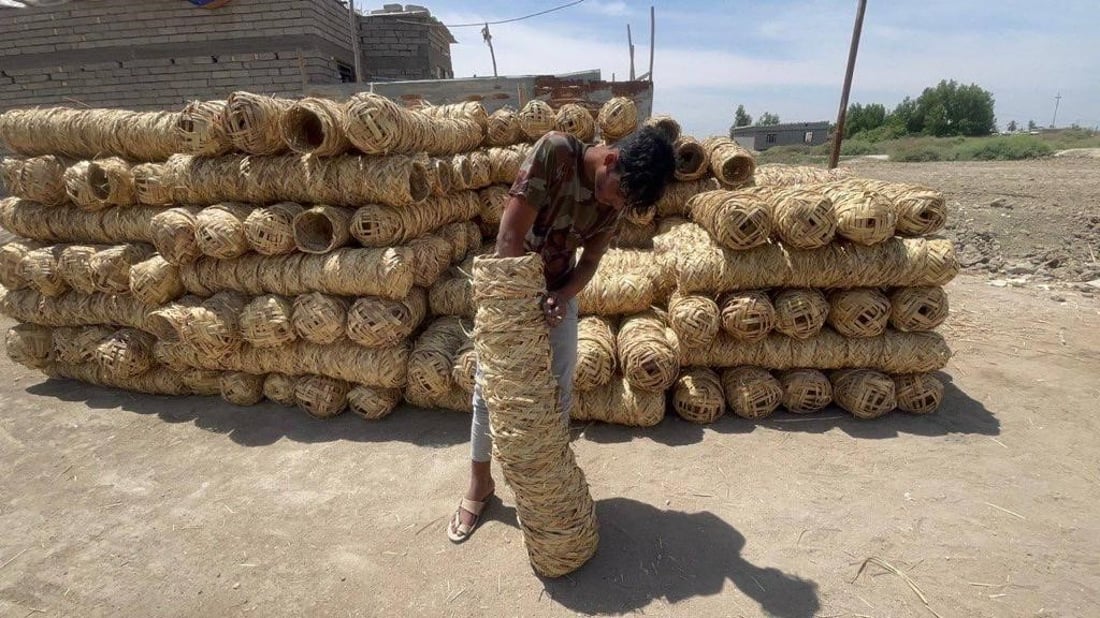 يجب أن تدوسها السيارات.. صور لصناعة أعشاش الطيور في الجبايش من قصب الدلمج الفاخر