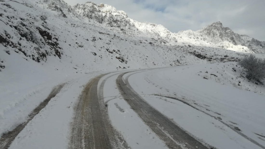 لە زینى وەرتێ بە وریایى شۆفێرى بکەن