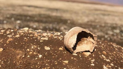 سنجار: الأهالي يعثرون على المقبرة الجماعية الـ89