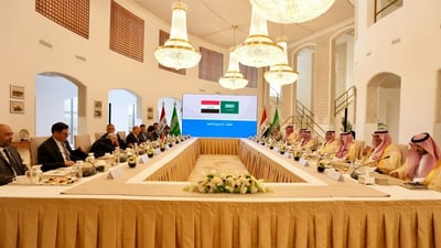 Iraqi and Saudi foreign ministers meet in Riyadh on ties and security