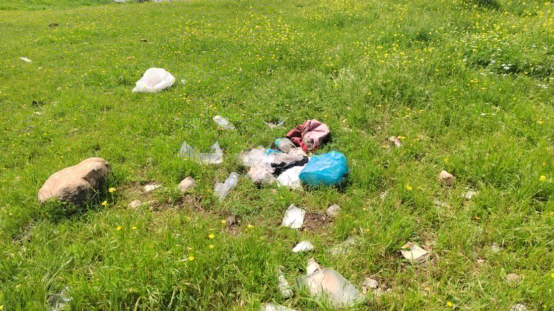 شەو مانەوە لە دوورگەی ئەسپەکان قەدەغە کرا