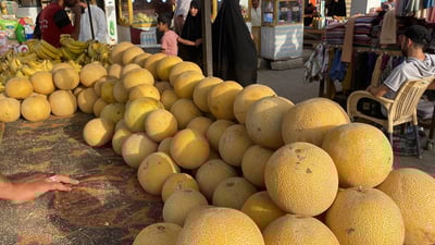 الناصرية: بطيخ سامراء أرخص بفارق 60% والزبائن قاطعوا الإيراني