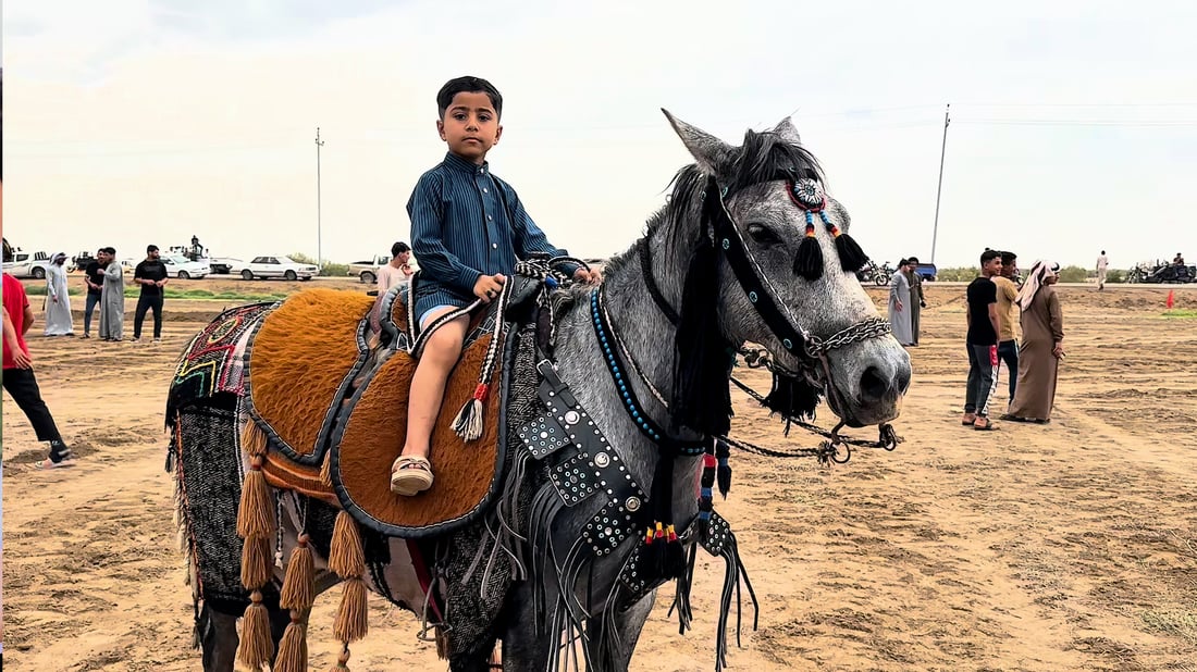 50 riders compete at Diwaniyah equestrian festival