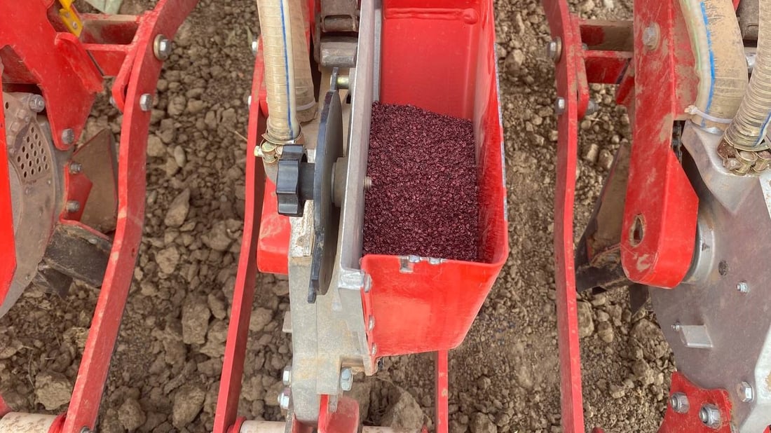 شاهد: ربيعة “تطبع” البصل الأمريكي والهولندي بعد جولة بـ “الرفاس”