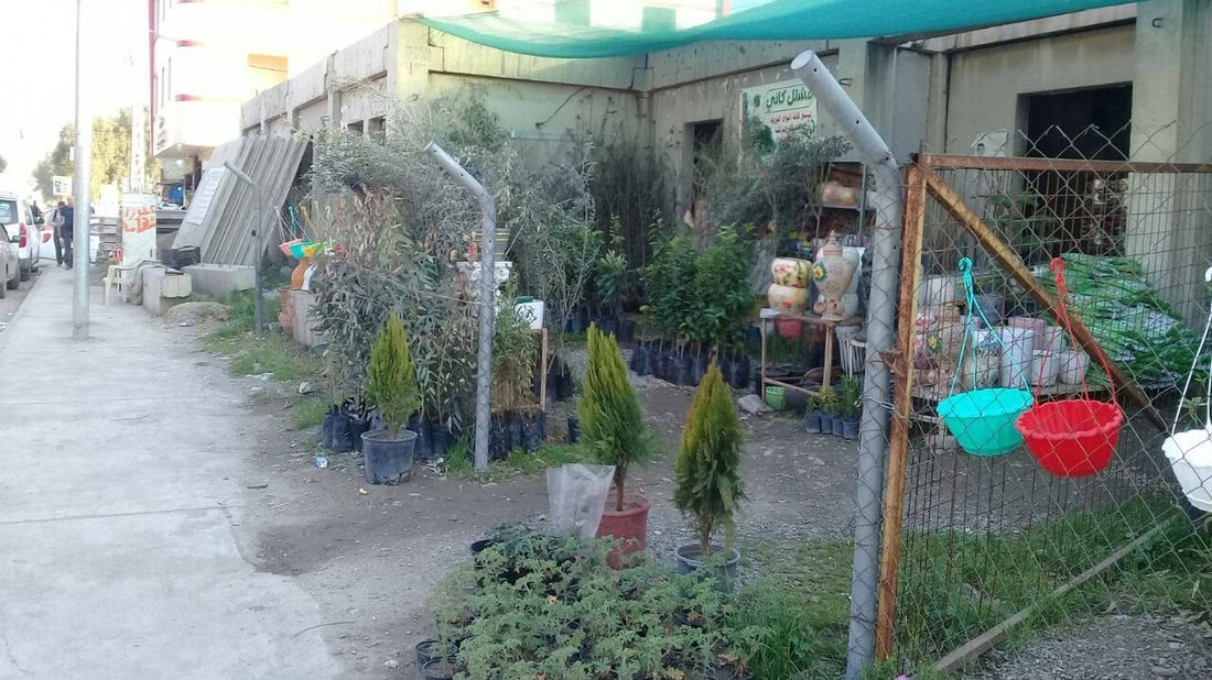 صور: بائع زهور يحوّل مدرسة في آلتون كوبري إلى مشتل.. ”مهجورة منذ 12 عاماً“