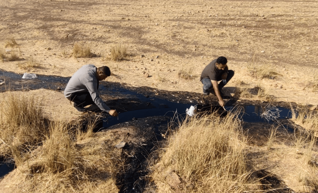 رۆنە رەشەکە گەیشتە سنووری دەربەندیخان 