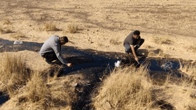 رۆنە رەشەکە گەیشتە سنووری دەربەندیخان 