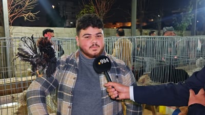 لەناو پەلەوەرە جوانەکانی پێشانگاکەی هەولێر بچووکترینیان کێشی 250 گرامە