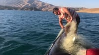 فيديو: تعالوا إلى الصيد في دوكان.. انتهى الحظر وألقيت ال...