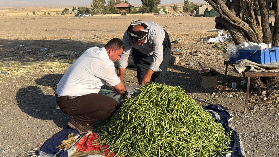 جوتیارانی گەرمیان شەقامە سەرەکییەکان دەکەنە جێگرەوەی عەلوە