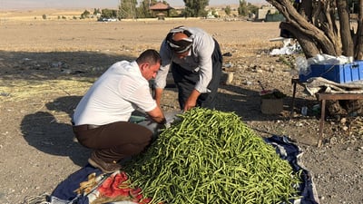 جوتیارانی گەرمیان شەقامە سەرەکییەکان دەکەنە جێگرەوەی عەلوە