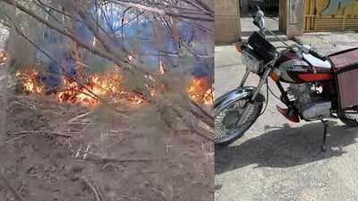 سێ کەس کە دارودەوەنی چەمێکیان سووتاندووە دەستگیر کران 