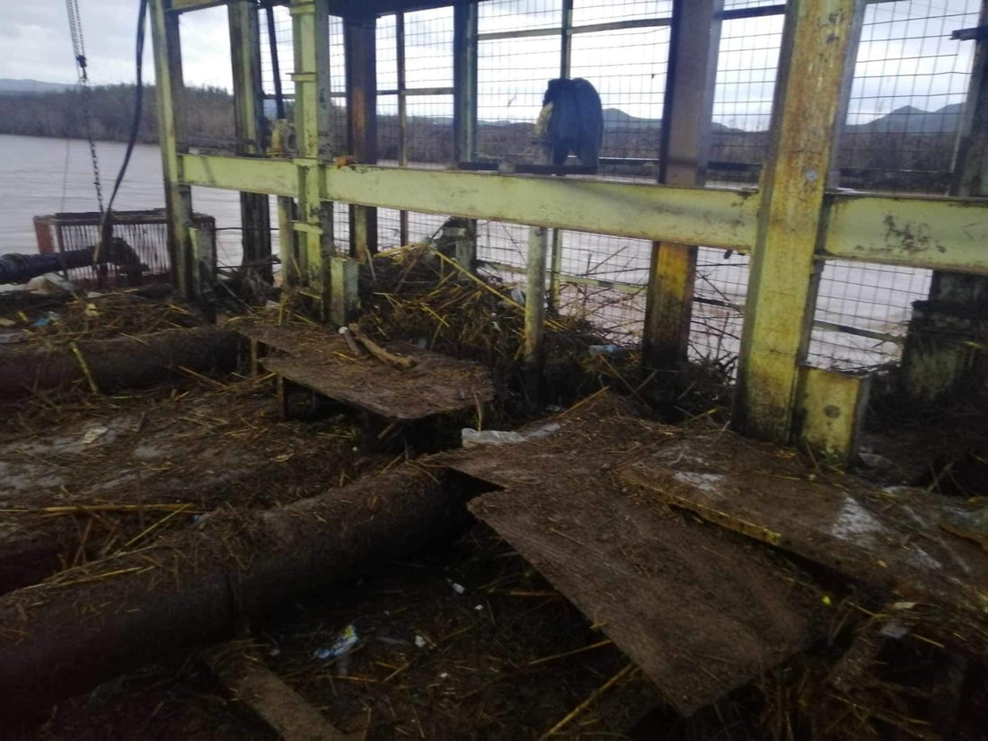 پڕۆژه‌كانى ئاوى کۆیە كه‌وتنه‌وه‌ كار