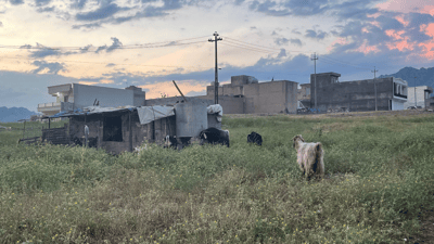 لە رانیە ئەوە نەما بە ئارەزووی خۆت ئاژەڵ رابگریت