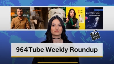 964 Tube weekly roundup
