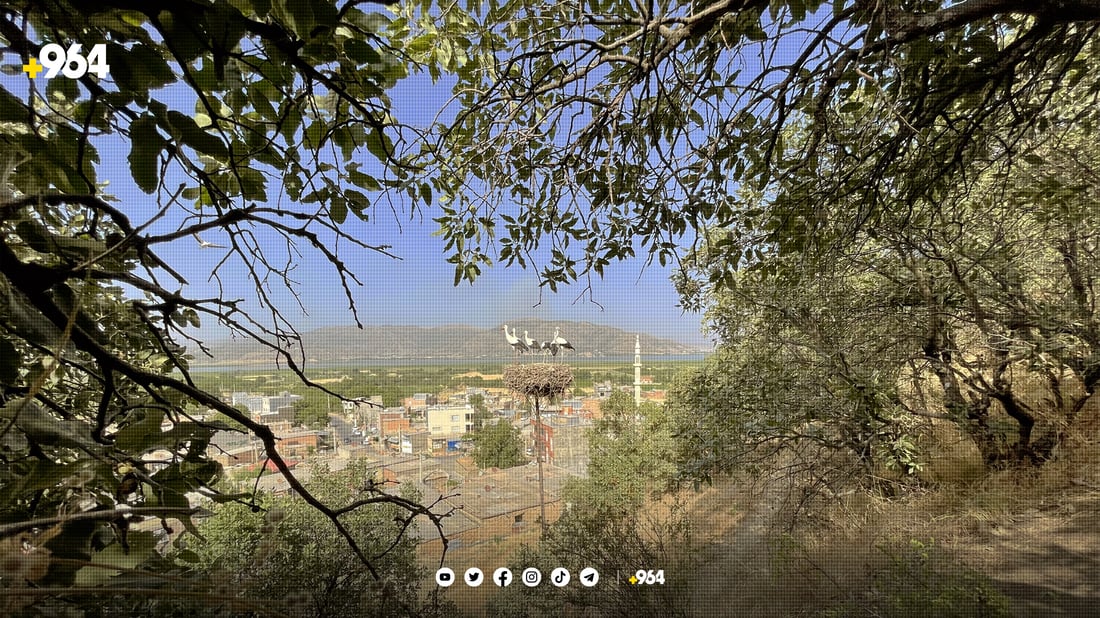 گوندێک جەژن بۆ هاتنەوەی حاجی لەقلەقەکان دەگێڕێت