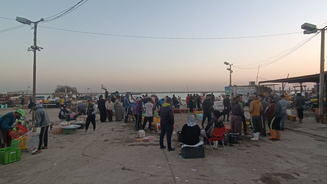 صور: “الحداكة” لم ينزلوا إلى البحر اليوم وأسعار الأسماك قفزت في النقعة