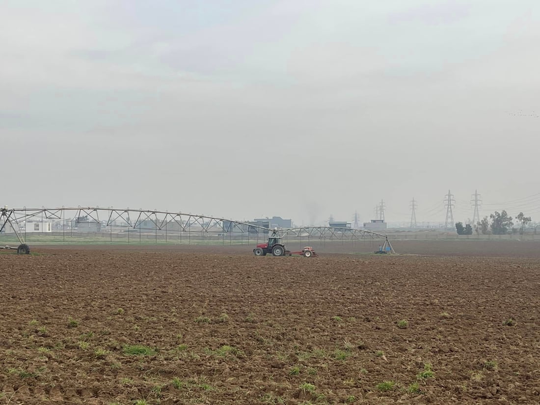 له‌سنوورى هه‌ولێر هه‌شت جۆر گه‌نم و جۆ ده‌چێندرێت