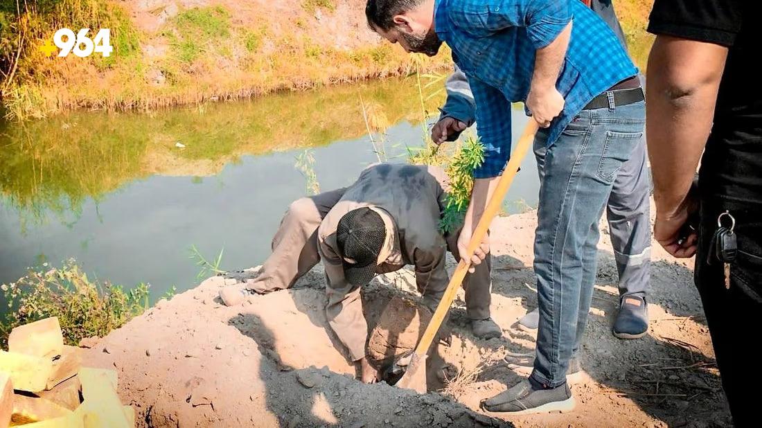 964mediaصورة من منصة (شبكة): 