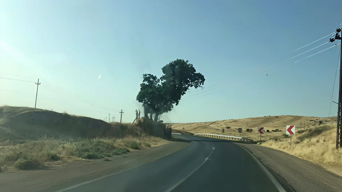 ئه‌مڕۆ له‌ناو ئێزدییه‌كاندا باس باسی له‌ناوچوونى دارێكی پیرۆز بوو